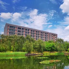 环境工程和园林绿化